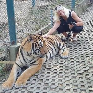 Meet your Posher, Janet